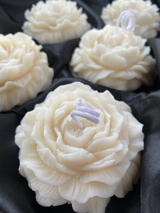 Rosen Kerze Peony