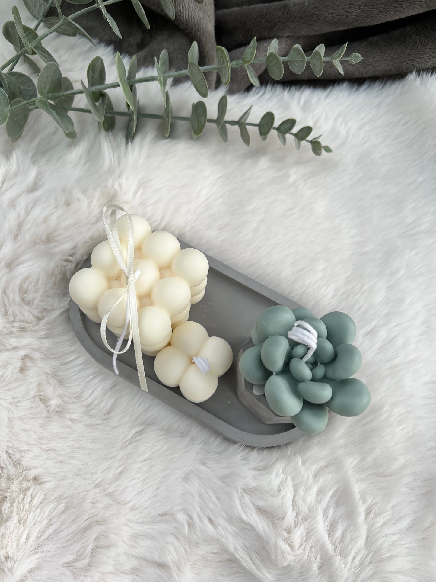 Edles Sukkulenten Set